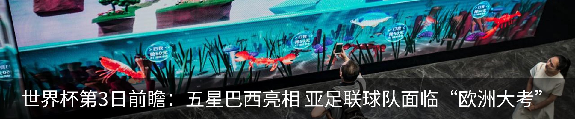 最新动态